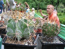 Выставка май 2006 (Киев)