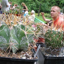 Выставка май 2006 (Киев)