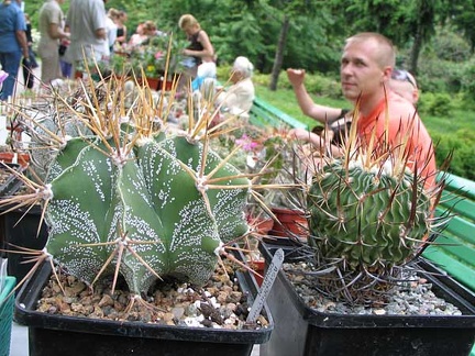 Выставка май 2006 (Киев)