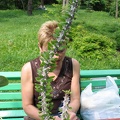 Выставка май 2006 (Киев)