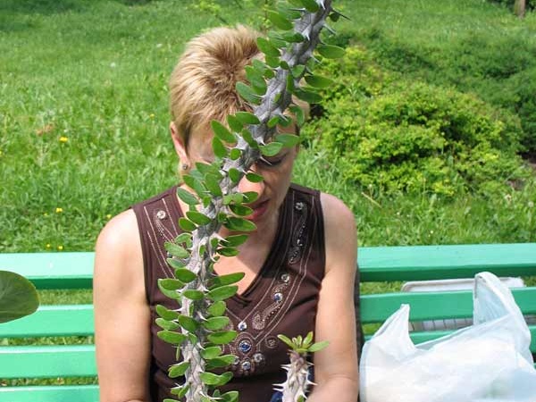 Выставка май 2006 (Киев)