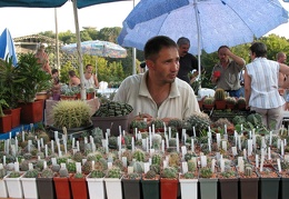 Выставка август 2007 
