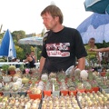 Выставка август 2007 