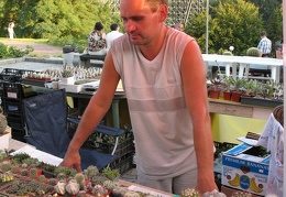 Выставка август 2007 