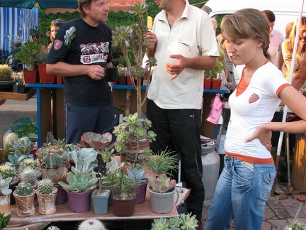 Выставка август 2007 