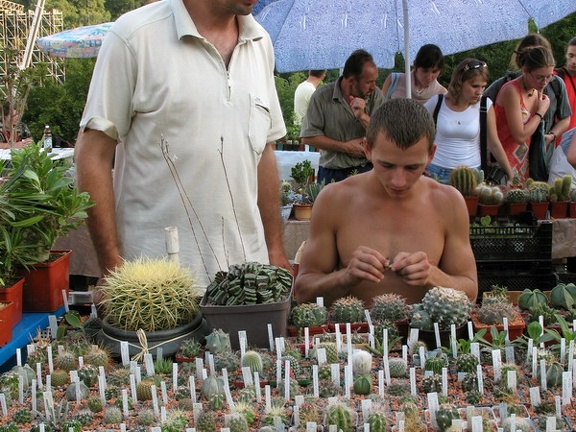 Выставка август 2007 