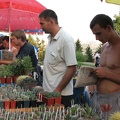 Выставка август 2007 