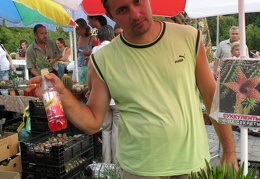 Выставка август 2007 