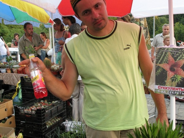 Выставка август 2007 