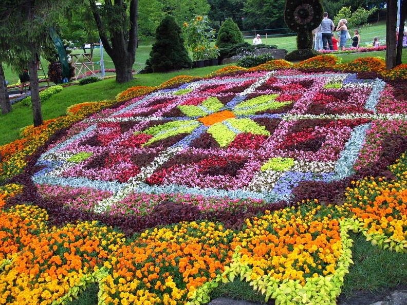 imag081.jpg