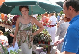 Выставка август 2007 