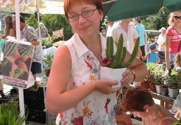 Выставка август 2007 
