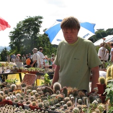 Выставка август 2007 
