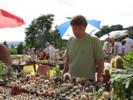 Выставка август 2007 