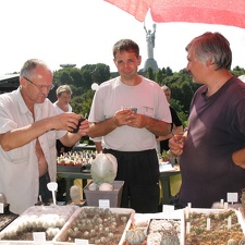 Выставка август 2007 