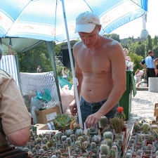 Выставка август 2007 