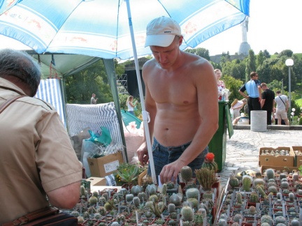 Выставка август 2007 