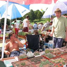Выставка август 2007 
