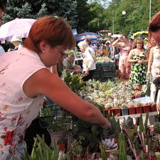 Выставка август 2007 