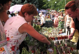 Выставка август 2007 