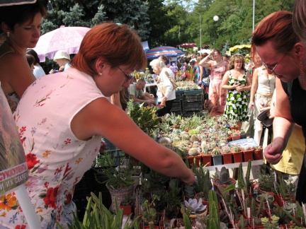 Выставка август 2007 
