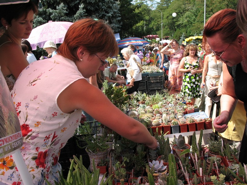 Выставка август 2007 