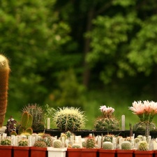 Выставка май 2005 (Киев)