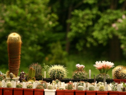 Выставка май 2005 (Киев)