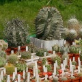Выставка май 2005 (Киев)