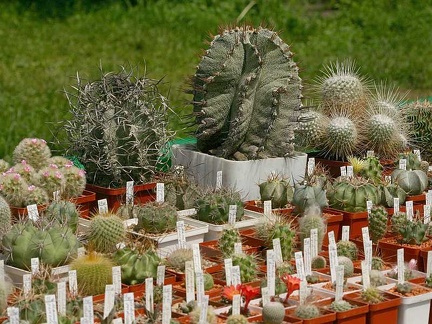 Выставка май 2005 (Киев)
