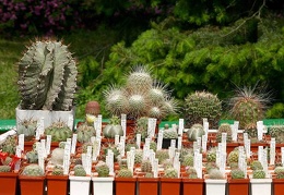 Выставка май 2005 (Киев)