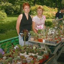 Выставка май 2005 (Киев)
