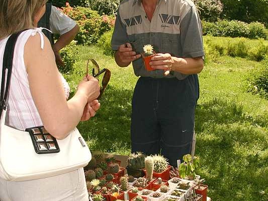 Выставка май 2005 (Киев)