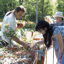 Выставка май 2005 (Киев)