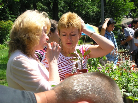Выставка май 2005 (Киев)