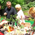 Выставка май 2005 (Киев)