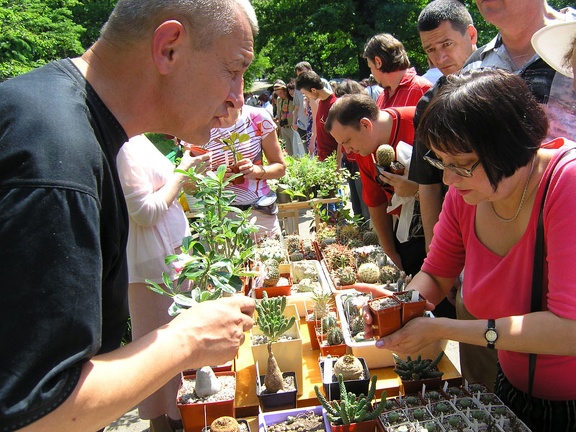 Выставка май 2005 (Киев)