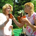 Выставка май 2005 (Киев)