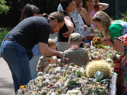 Выставка май 2009