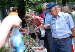 Выставка май 2009