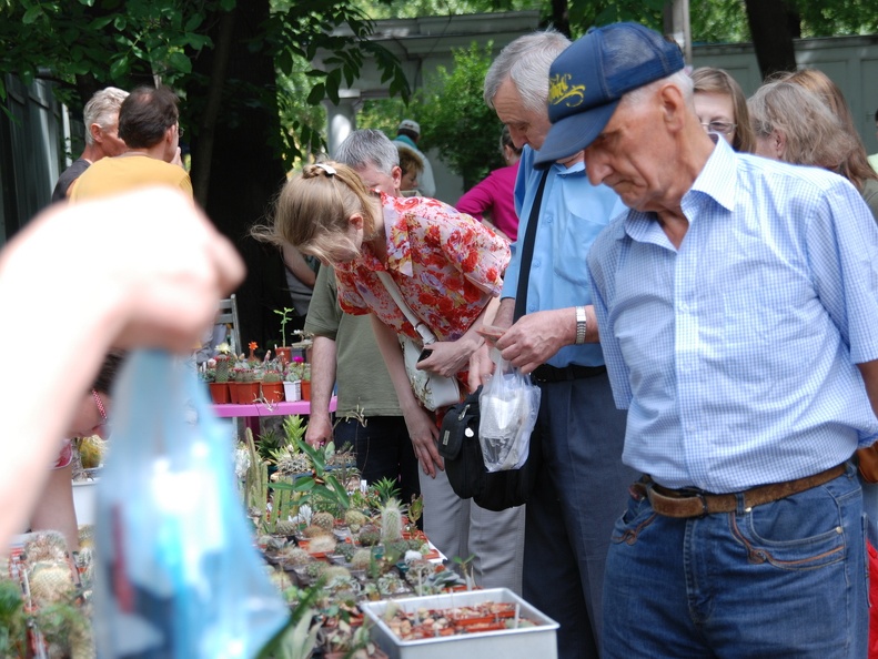 Выставка май 2009