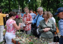 Выставка май 2009