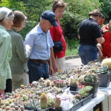 Выставка май 2009