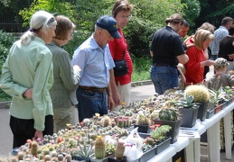 Выставка май 2009