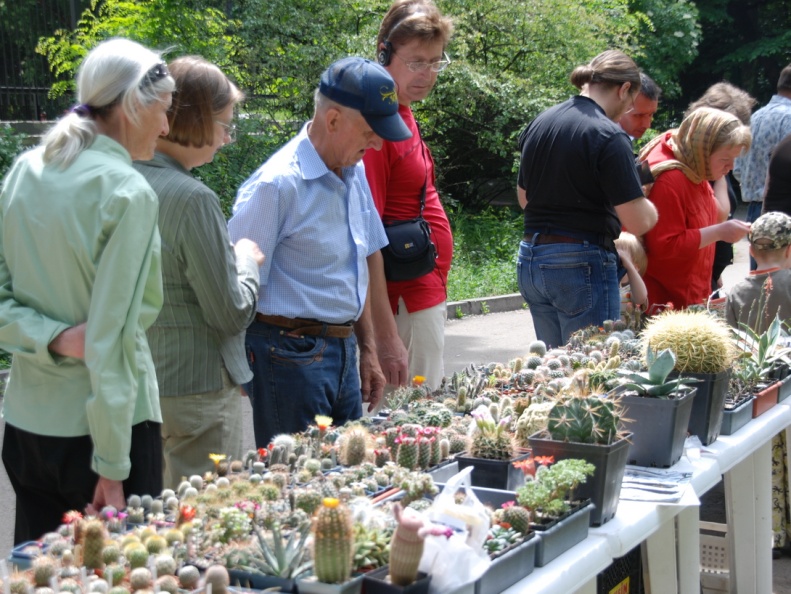 Выставка май 2009