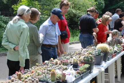 Выставка май 2009