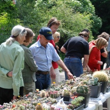 Выставка май 2009
