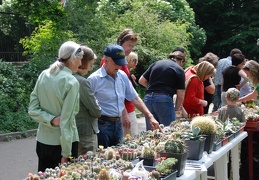 Выставка май 2009