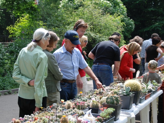 Выставка май 2009