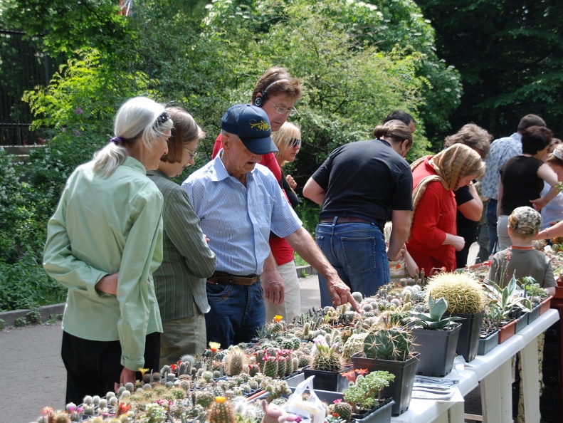 Выставка май 2009